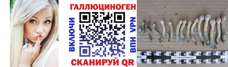 мориарти наркотические препараты  Комсомольск  Псилоцибиновые грибы Cubensis  купить наркоту 